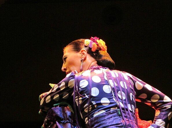 Full Day Seville Tour with tickets (optional Tapas & Flamenco) - A Deep Dive into the Seville Full Day Tour