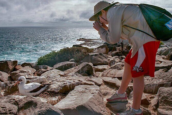 Full Day Seymour North Island & Las Bachas - Discover Galapagos’ Best on a Full Day Tour to Seymour North Island & Las Bachas