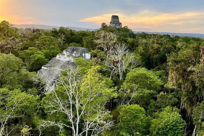 Full-Day Shared Tour to Tikal from Flores Peten with Lunch - FAQs