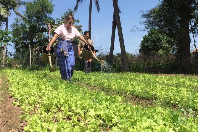 Full Day Siem Reap Farm Tour with Cooking Class and Monk Blessing - Key Points
