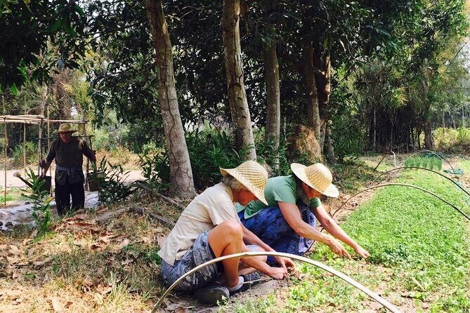 Full Day Siem Reap Farm Tour with Cooking Class and Monk Blessing - An In-Depth Look at the Siem Reap Farm Tour