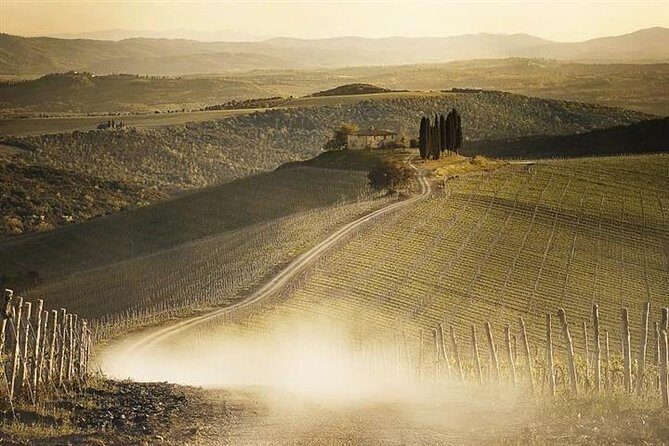 Full Day Siena , Montalcino, Val D'Orcia from Rome - Final Thoughts