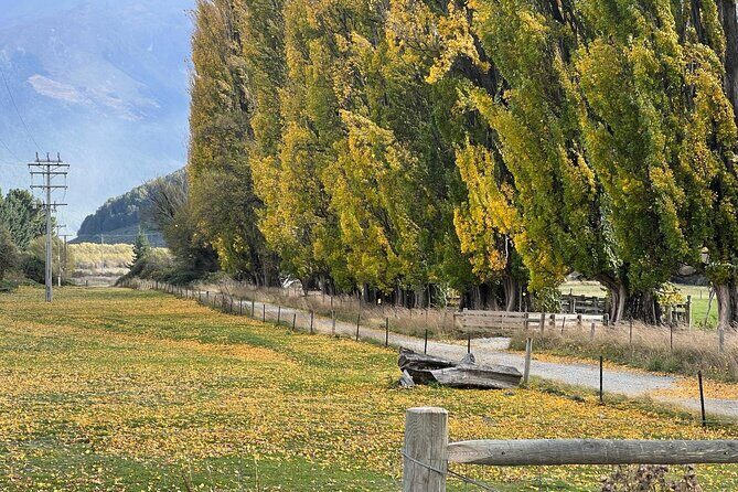 Full Day Sightseeing Tour To Discover Queenstown's Scenic Wonder - Exploring Queenstown’s Scenic Wonders: A Deep Dive