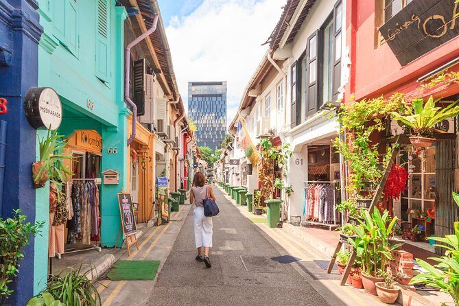 Full-Day Singapore Tour: 8-Hour Private Experience with a Local - Who Should Consider This Tour?