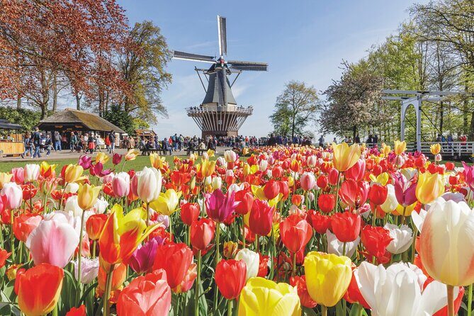 Full-Day Skip the Line Keukenhof and Canal Cruise from Amsterdam - A Practical Guide to the Full-Day Skip the Line Keukenhof and Canal Cruise from Amsterdam