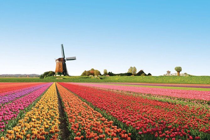 Full-Day Skip the Line Keukenhof and Canal Cruise from Amsterdam - Who Will Love This Tour?