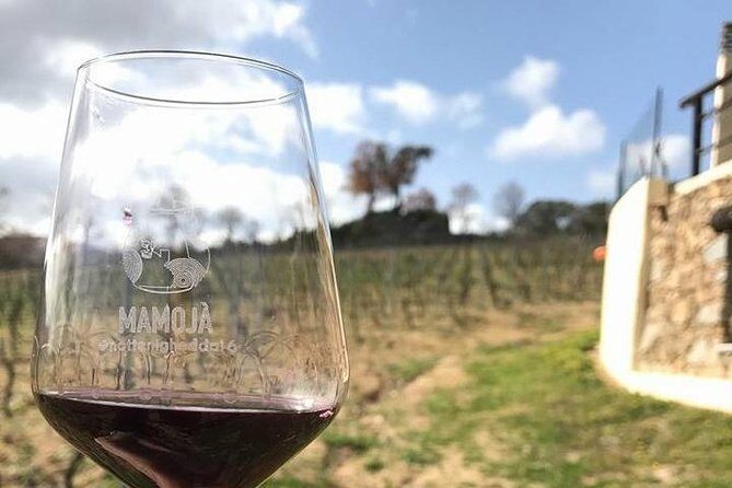 Full Day-Small group: Barbagia Experience: Mamoiada and Orgosolo from Cagliari - Final Thoughts