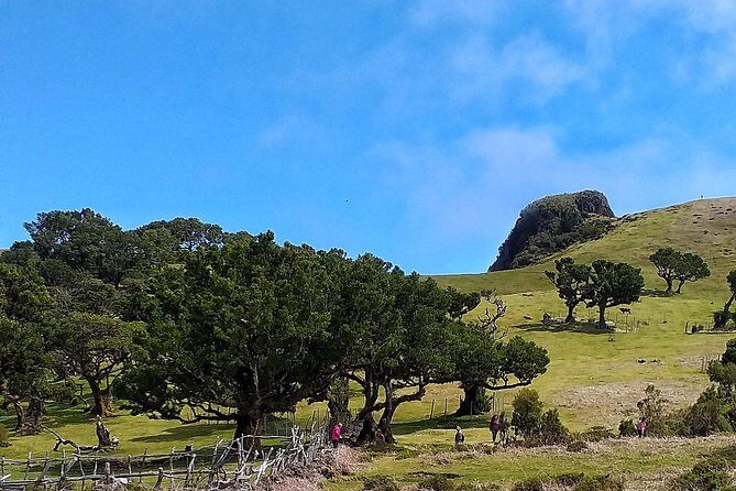 Full-Day Small Group Jeep Safari Tour from Funchal - Frequently Asked Questions