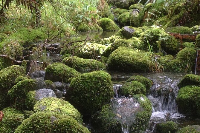 Full-Day Small-Group Routeburn Valley Hike - Why Travelers Rave About This Tour