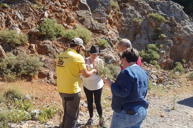Full-Day Small-Group Tour in Crete & the cave of Zeus - Frequently Asked Questions