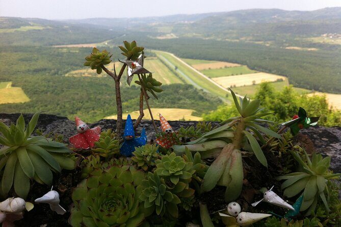 Full-Day Small-Group Tour in Istria - A Practical Guide to the Full-Day Small-Group Tour in Istria