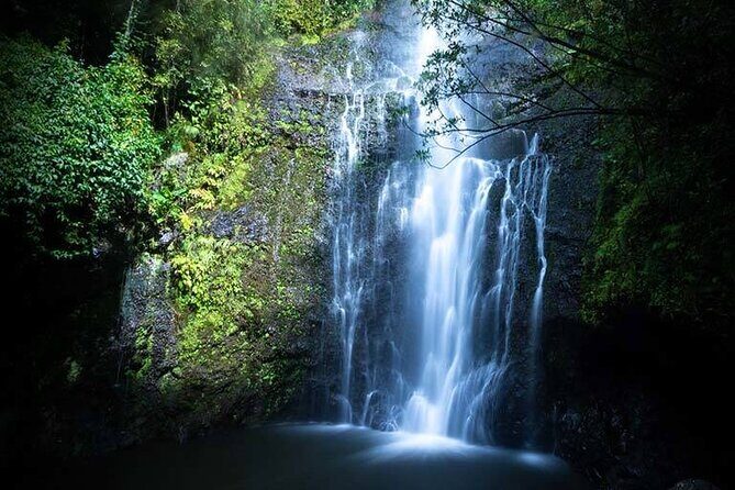 Full Day Small Group Tour of Maui Waterfall, Beach and Hana - Who Is This Tour Best For?