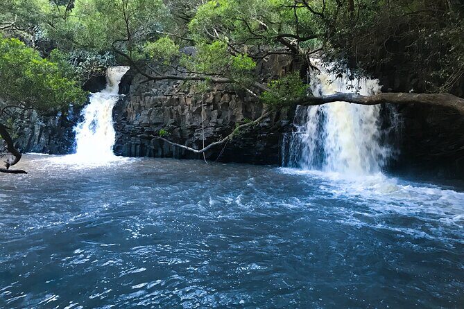 Full Day Small Group Tour of Maui Waterfall, Beach and Hana - Frequently Asked Questions