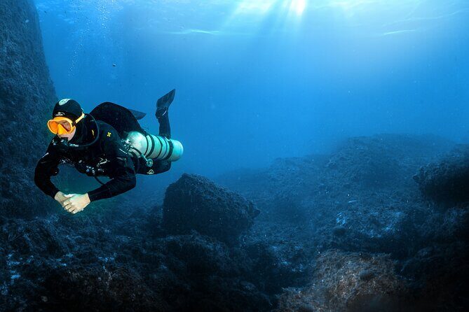 Full-Day Snorkeling and Guided Dive in the Calanques National Park from Marseille - Key Points