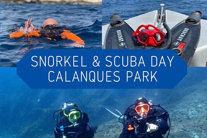 Full-Day Snorkeling and Guided Dive in the Calanques National Park from Marseille - Why This Tour Offers Great Value