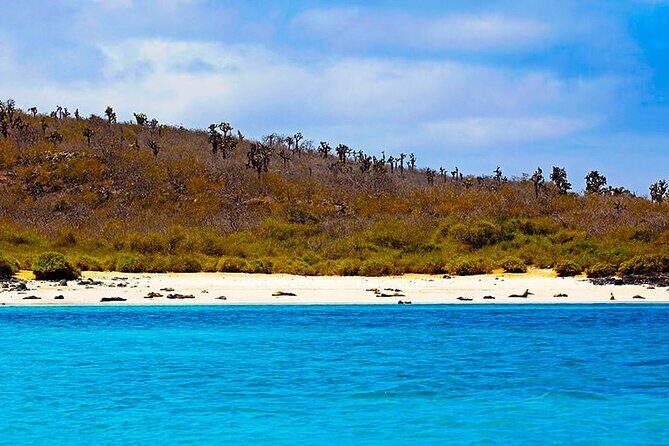 Full day Snorkeling Tour Santa Fe Island and Playa Escondida - The Sum Up: Who Should Consider This Tour?