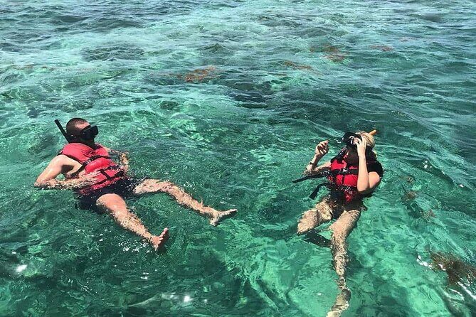 Full-Day Snorkeling Tour to Catalina Island - Key Points