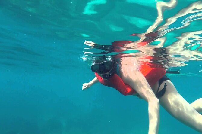 Full-Day Snorkeling Tour to Catalina Island - The Itinerary: What You Can Expect on the Day