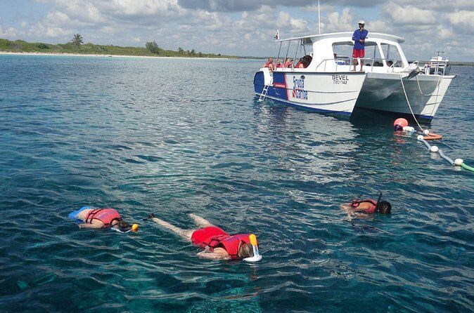 Full-Day Snorkeling Tour to Catalina Island - FAQ