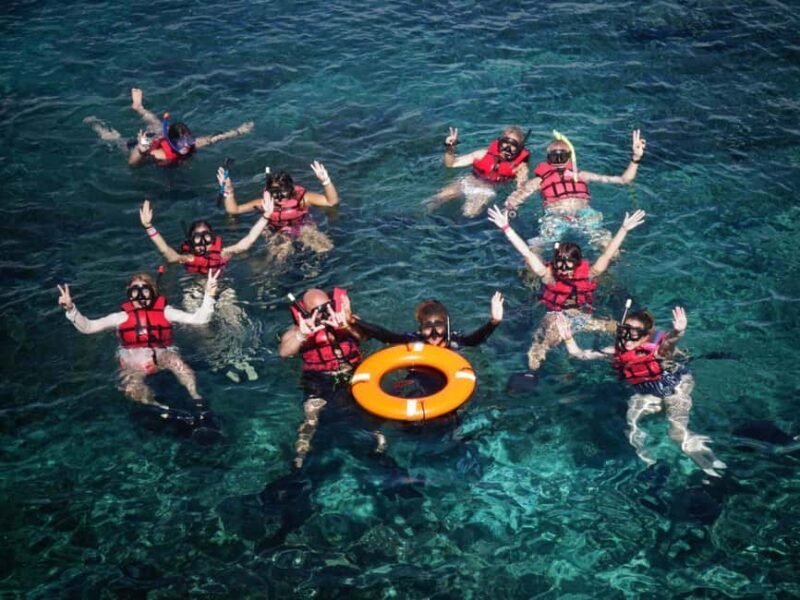 Full-Day Snorkeling Tour to Catalina Island - A Deep Dive into the Catalina Island Snorkeling Experience