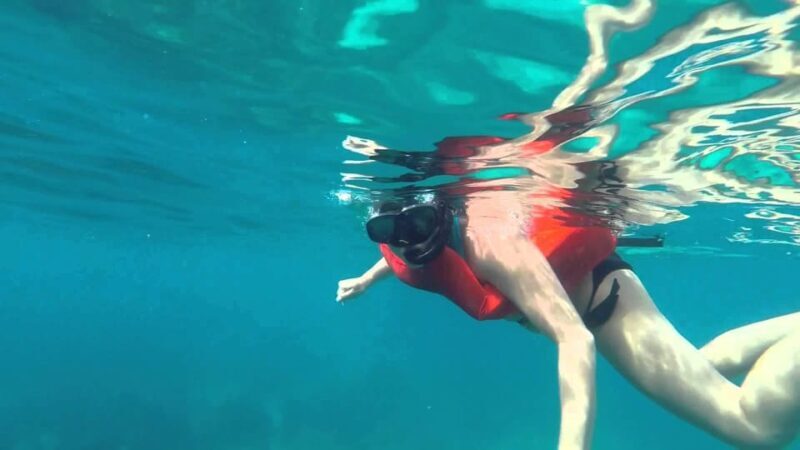 Full-Day Snorkeling Tour to Catalina Island - Frequently Asked Questions