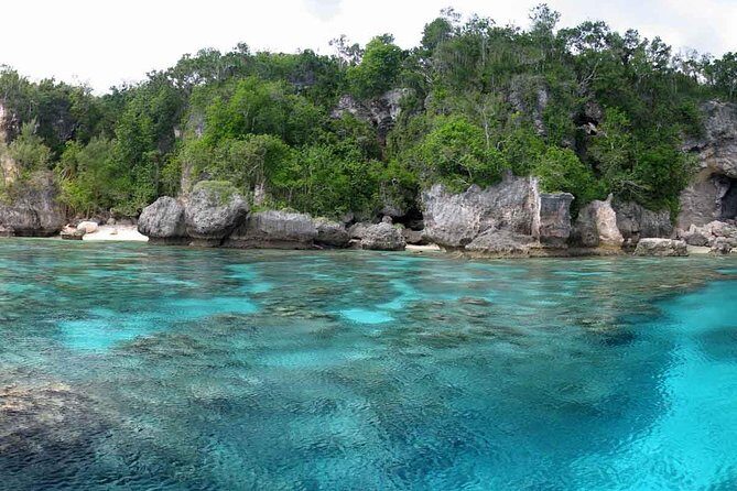 Full Day Snorkelling Cruise in Tranquility Island Resort - What Makes This Tour Stand Out