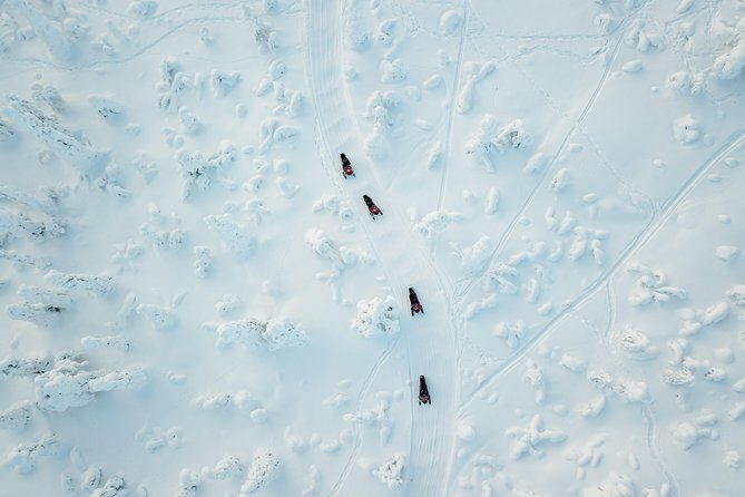 Full Day Snowmobile Safari into the Lappish Wilderness in Rovaniemi - The Experience in Detail: Why It’s Worth It
