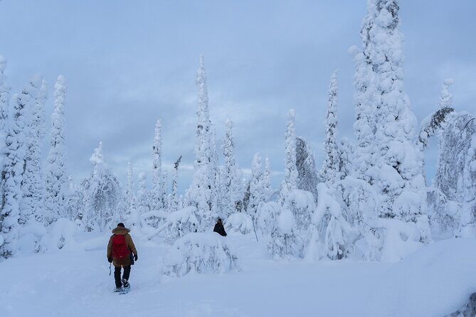 Full-Day Snowshoeing Adventure in Amethyst Mine Pyhä Luosto - The Snowshoe Trek: Forests and Fells