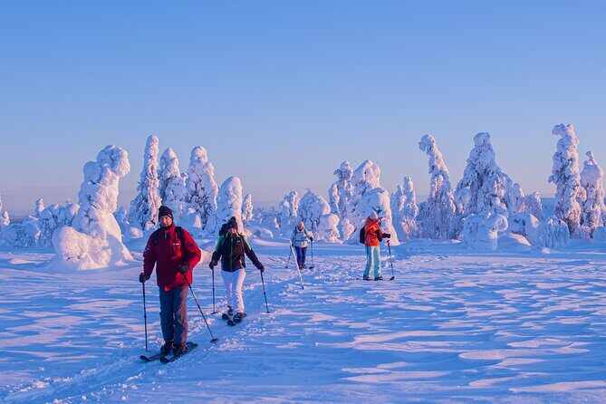 Full-Day Snowshoeing Adventure in Amethyst Mine Pyhä Luosto - Why This Tour Works