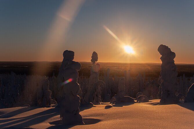 Full-Day Snowshoeing Adventure in Amethyst Mine Pyhä Luosto - Who Will Love This Experience?