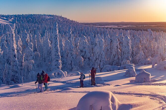 Full-Day Snowshoeing Adventure in Amethyst Mine Pyhä Luosto - The Sum Up