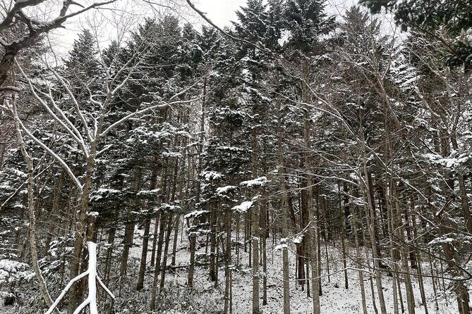 Full Day Snowshoeing Adventures with Onsen. - The Onsen Experience: Relaxation After Adventure