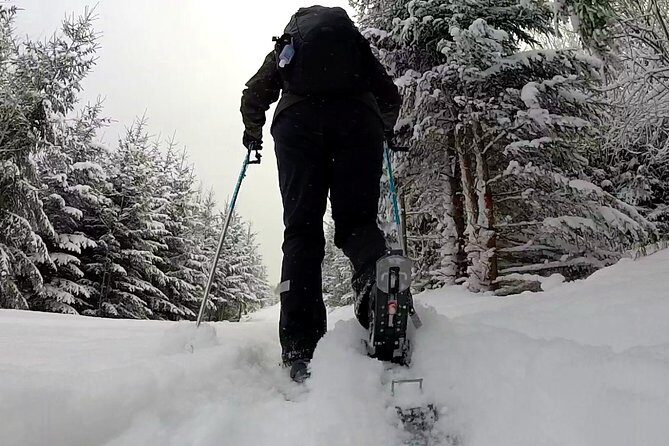 Full-Day Snowshoeing in High Tatras with Local Mountain Guide from Poprad - Authentic Experiences and Real Traveler Feedback