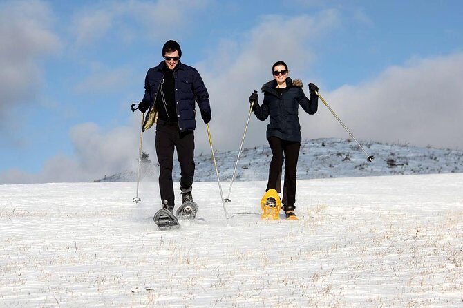 Full-Day Snowshoeing in High Tatras with Local Mountain Guide from Poprad - Who Will Love This Tour?