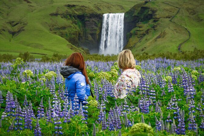 Full-Day South Coast Tour & Glacier Hike - with Photo Package - Key Points