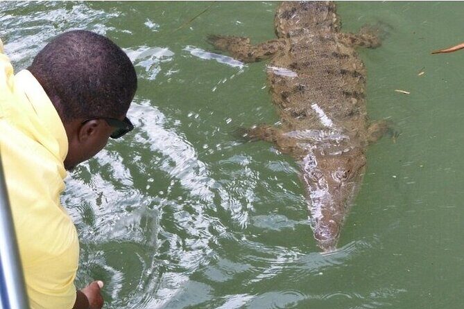 Full-Day South Coast - YS Falls, Pelican Bar & Black River Safari - Exploring the Itinerary: What to Expect at Each Stop