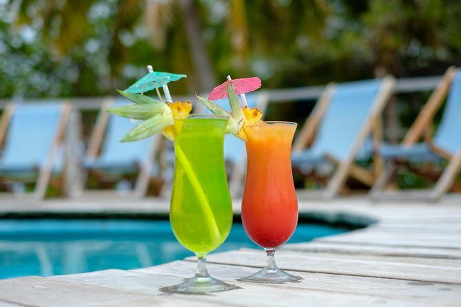 Full Day South Sea Island with Lunch & Drinks - Who Would Love This Experience?