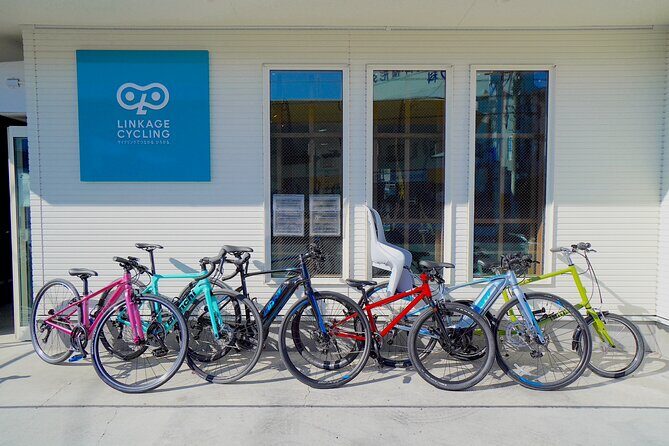 Full-Day Sport Cycle Rental - A Practical and Enjoyable Way to Explore Enoshima and Kamakura by Bike