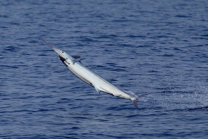 Full Day Sportsman/Enthusiast Charter - An In-Depth Look at the Full Day Sportsman/Enthusiast Charter