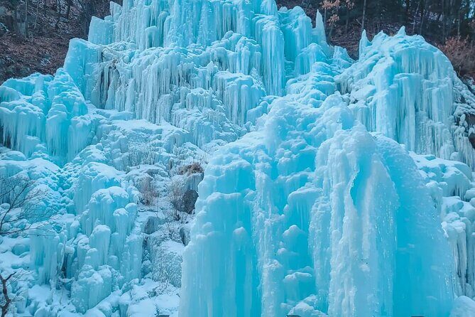 Full Day Strawberry Picking and Rail Bike in Nami Island - FAQ