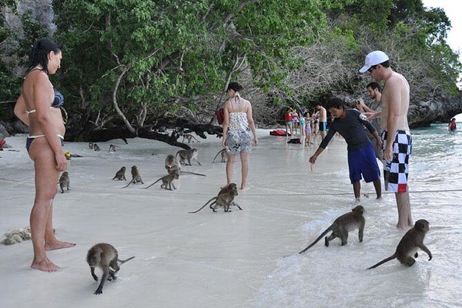 Full Day & Sunset Phi Phi Islands Tour From Phi Phi by Speedboat - Practical Aspects and Value