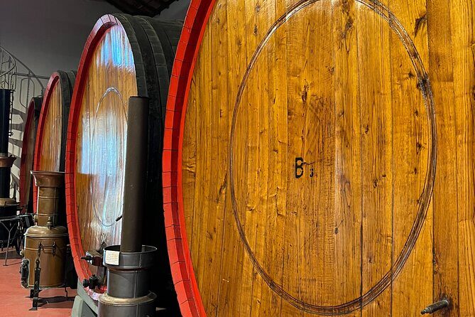 Full Day Super Cars, Parmesan, Balsamic Tour w/Light Lunch - The Full Experience: A Deep Dive into the Day