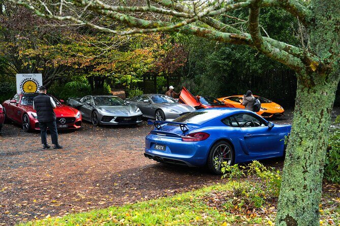Full-Day Supercar Drive Experience from Auckland (lunch included) - Key Points
