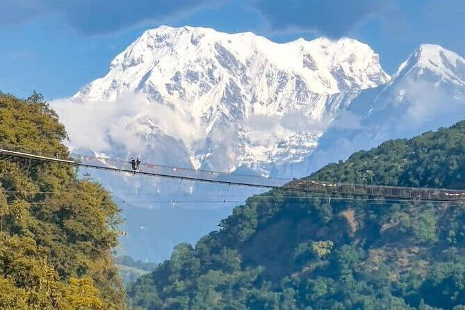 Full day Suspension Bridge, Boating, George, Sightseeing Tour - Key Points