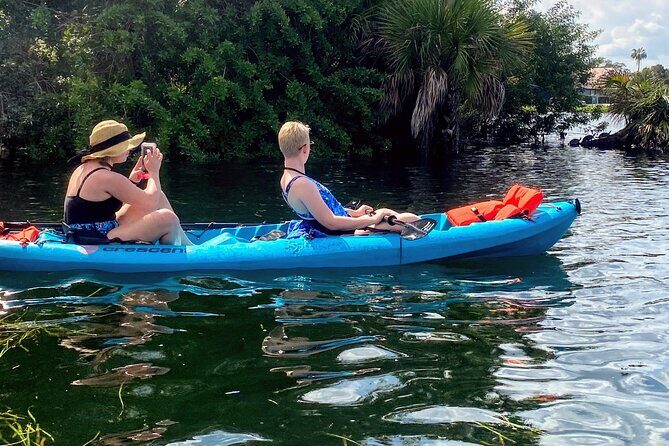 Full Day Tandem Kayak Rental For Two People In Crystal River, Florida - An In-Depth Look at the Full-Day Kayaking Experience