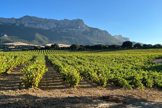Full Day Tasting The Unknown Rioja Wine Region - A Deep Dive: What You Can Expect from the Full Day
