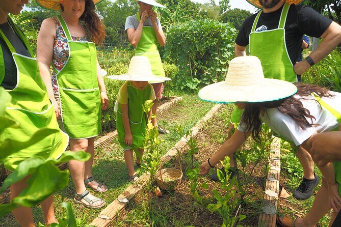 Full Day Thai Cooking at Farm (Chiang Mai) - Who Should Consider This Tour?