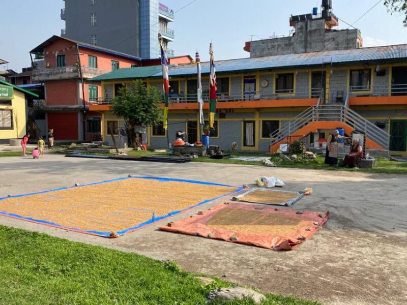 Full Day Tibetan Cultural Tour - Exploring the Details of the Tibetan Cultural Tour