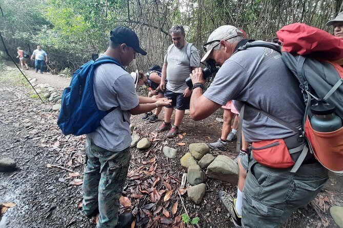 Full day to Ecological Reserve Churute Mangrove and Cocoa Farm Visit - Key Points