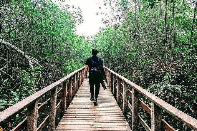Full day to Ecological Reserve Churute Mangrove and Cocoa Farm Visit - In-Depth Review: What to Expect from This Tour